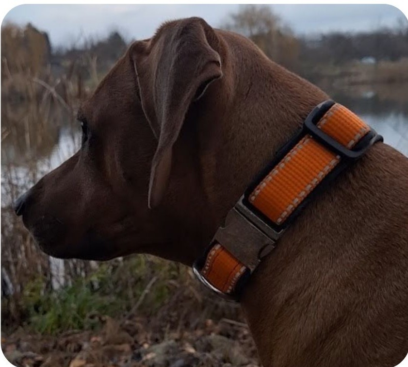 Návrh bez názvu - 2025-12-19T213810.099